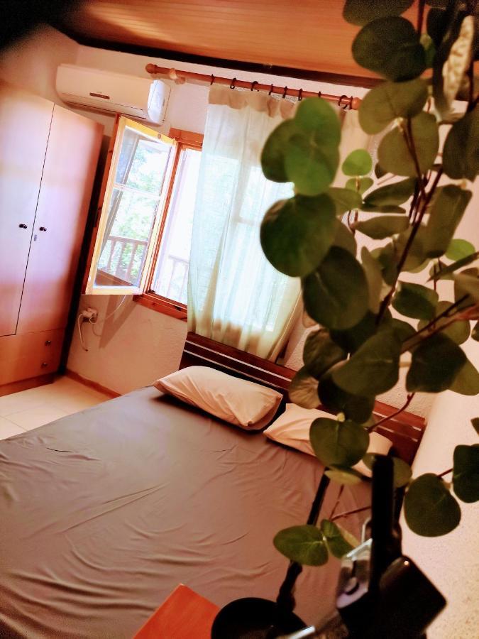 Green Vila Sozopoli Ngoại thất bức ảnh